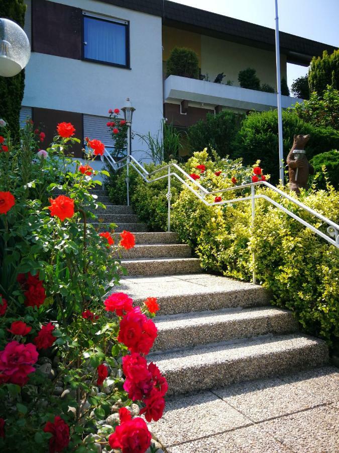 Apartments Gala, Ruhige Lage, Stadtnah Bad Kissingen Exterior foto